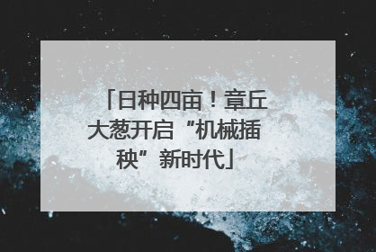 日种四亩！章丘大葱开启“机械插秧”新时代