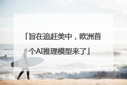 旨在追赶美中，欧洲首个AI推理模型来了