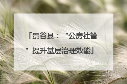 景谷县：“公房社管”提升基层治理效能