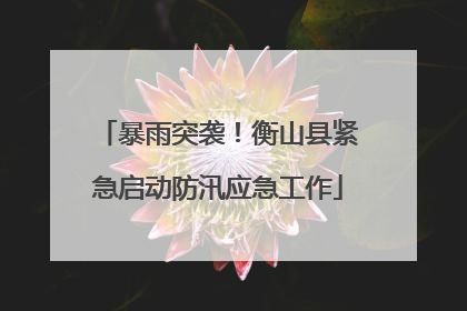 暴雨突袭！衡山县紧急启动防汛应急工作