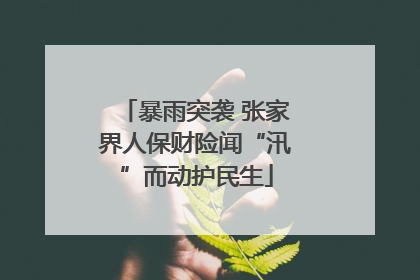 暴雨突袭 张家界人保财险闻“汛”而动护民生