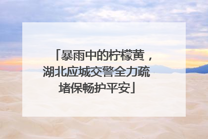 暴雨中的柠檬黄，湖北应城交警全力疏堵保畅护平安