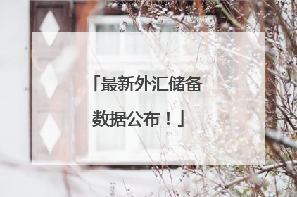 最新外汇储备数据公布！