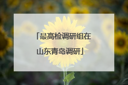 最高检调研组在山东青岛调研