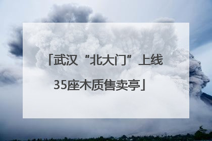 武汉“北大门”上线35座木质售卖亭