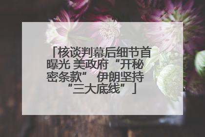 核谈判幕后细节首曝光 美政府“开秘密条款” 伊朗坚持“三大底线”