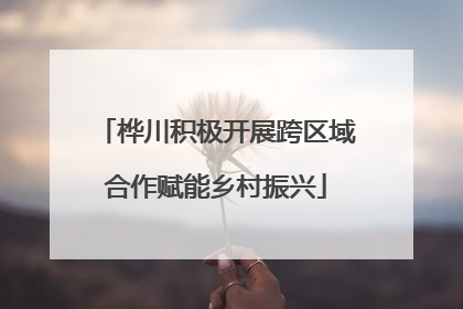 桦川积极开展跨区域合作赋能乡村振兴