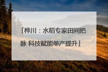 桦川：水稻专家田间把脉 科技赋能单产提升
