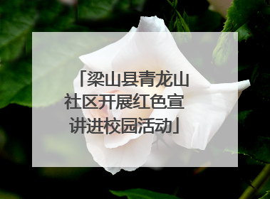 梁山县青龙山社区开展红色宣讲进校园活动