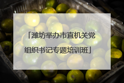 潍坊举办市直机关党组织书记专题培训班