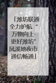 潍坊联通全力护航“万物向上·更好潍坊”凤溪地夜市通信畅通