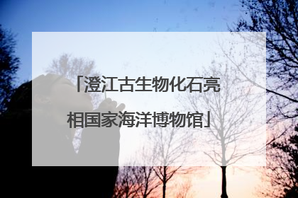 澄江古生物化石亮相国家海洋博物馆