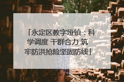 永定区教字垭镇：科学调度 干群合力 筑牢防洪抢险坚固防线