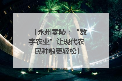 永州零陵：“数字农业”让现代农民种粮更轻松