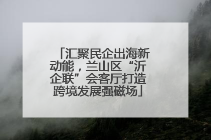 汇聚民企出海新动能，兰山区“沂企联”会客厅打造跨境发展强磁场