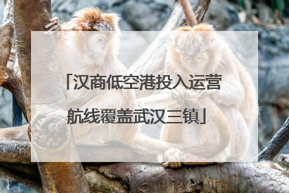 汉商低空港投入运营 航线覆盖武汉三镇