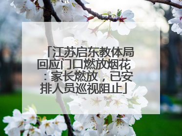 江苏启东教体局回应门口燃放烟花：家长燃放，已安排人员巡视阻止