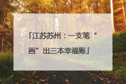 江苏苏州：一支笔“画”出三本幸福账