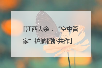 江西大余：“空中管家”护航稻虾共作