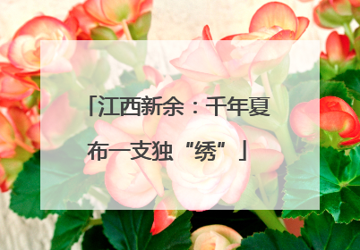 江西新余：千年夏布一支独“绣”