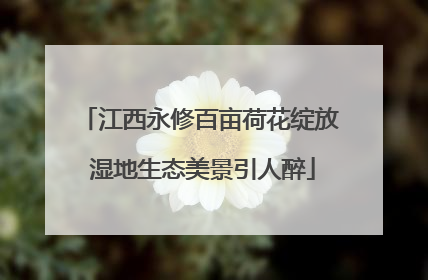 江西永修百亩荷花绽放 湿地生态美景引人醉