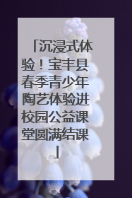 沉浸式体验！宝丰县春季青少年陶艺体验进校园公益课堂圆满结课
