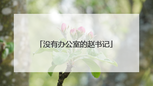 没有办公室的赵书记