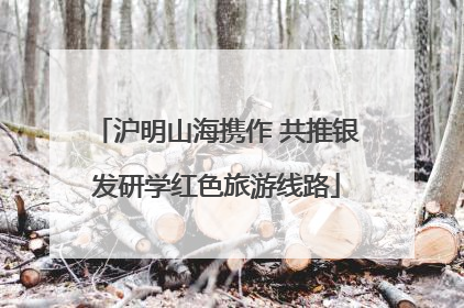 沪明山海携作 共推银发研学红色旅游线路