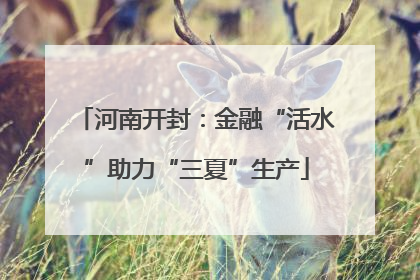 河南开封：金融“活水”助力“三夏”生产