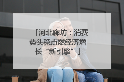 河北廊坊：消费势头稳点燃经济增长“新引擎”
