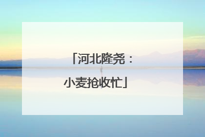 河北隆尧：小麦抢收忙