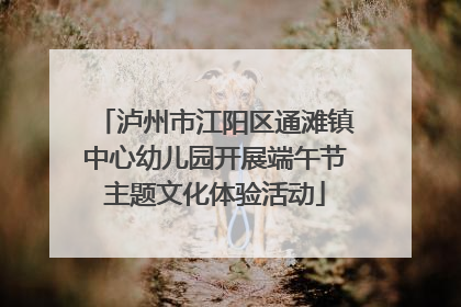 泸州市江阳区通滩镇中心幼儿园开展端午节主题文化体验活动