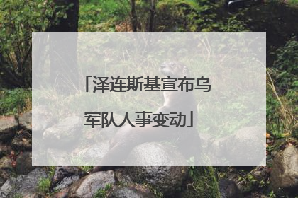 泽连斯基宣布乌军队人事变动