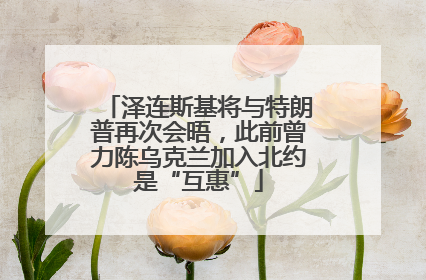 泽连斯基将与特朗普再次会晤，此前曾力陈乌克兰加入北约是“互惠”