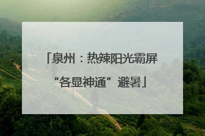 泉州：热辣阳光霸屏 “各显神通”避暑