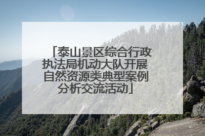 泰山景区综合行政执法局机动大队开展自然资源类典型案例分析交流活动