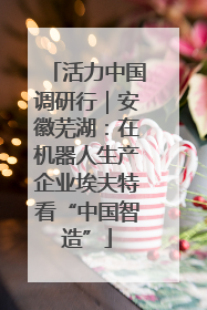 活力中国调研行｜安徽芜湖：在机器人生产企业埃夫特看“中国智造”