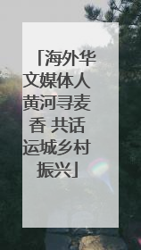海外华文媒体人黄河寻麦香 共话运城乡村振兴