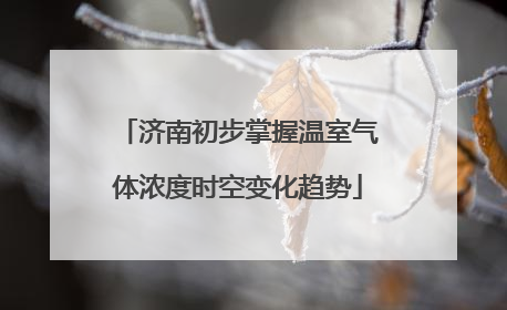 济南初步掌握温室气体浓度时空变化趋势