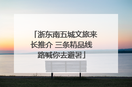 浙东南五城文旅来长推介 三条精品线路喊你去避暑