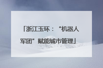 浙江玉环：“机器人军团”赋能城市管理