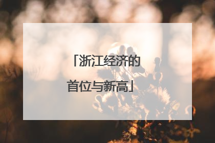 浙江经济的首位与新高