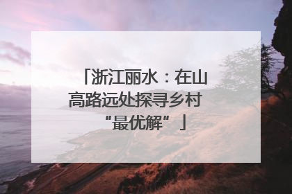 浙江丽水：在山高路远处探寻乡村“最优解”
