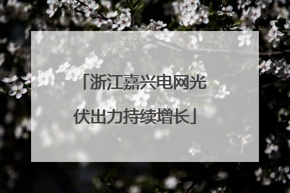 浙江嘉兴电网光伏出力持续增长