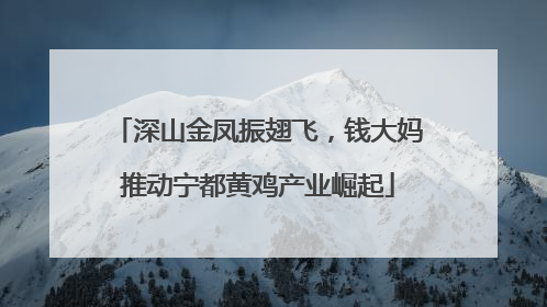 深山金凤振翅飞，钱大妈推动宁都黄鸡产业崛起