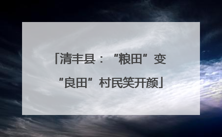 清丰县：“粮田”变“良田”村民笑开颜