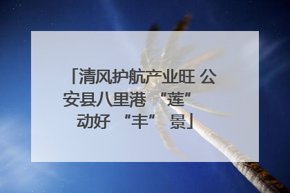清风护航产业旺 公安县八里港 “莲” 动好 “丰” 景