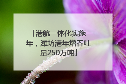 港航一体化实施一年，潍坊港年增吞吐量250万吨