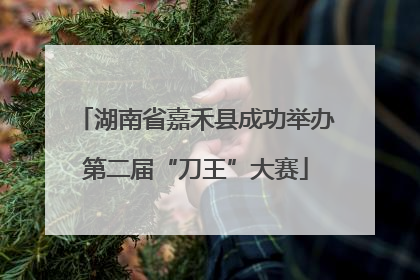 湖南省嘉禾县成功举办第二届“刀王”大赛