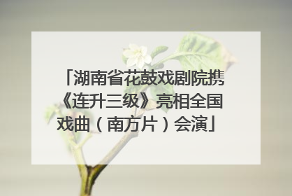 湖南省花鼓戏剧院携《连升三级》亮相全国戏曲（南方片）会演